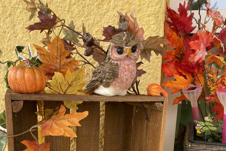 Iskolnk szi dekorcija