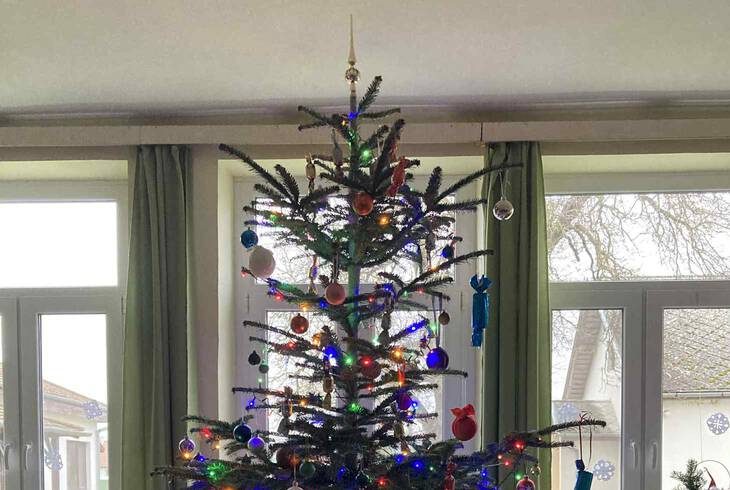 Iskola kar�csonyf�ja