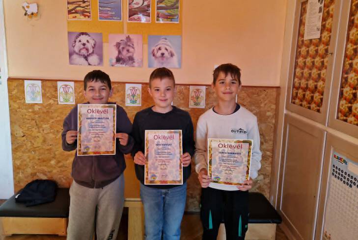 Roma/cigány népismereti levelező verseny Roma/cigány népismereti levelező verseny